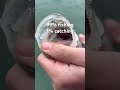 #Funny #trending #audio #fishing #bassfishing #shorts 
