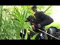 Hôm nay đi câu toàn bắt được mấy con cá nhỏ