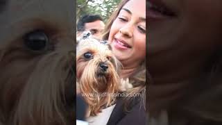 Natasha Madhwani with her Yorkshire Terrier Content