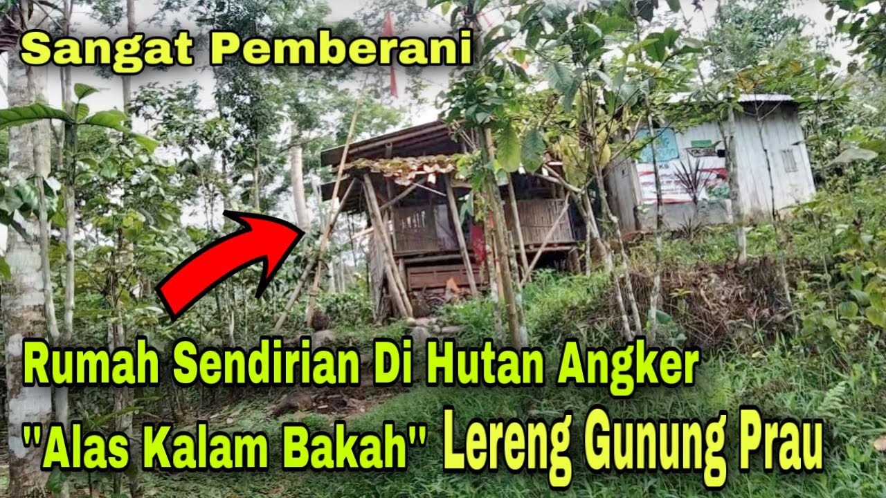 Nekad.. !! Bertahun Tahun Tinggal Sendirian Di Dalam Hutan Angker Tanpa Ada Rasa Takut Sama Sekali