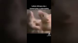 leksiu kłuci się z kamerzystą