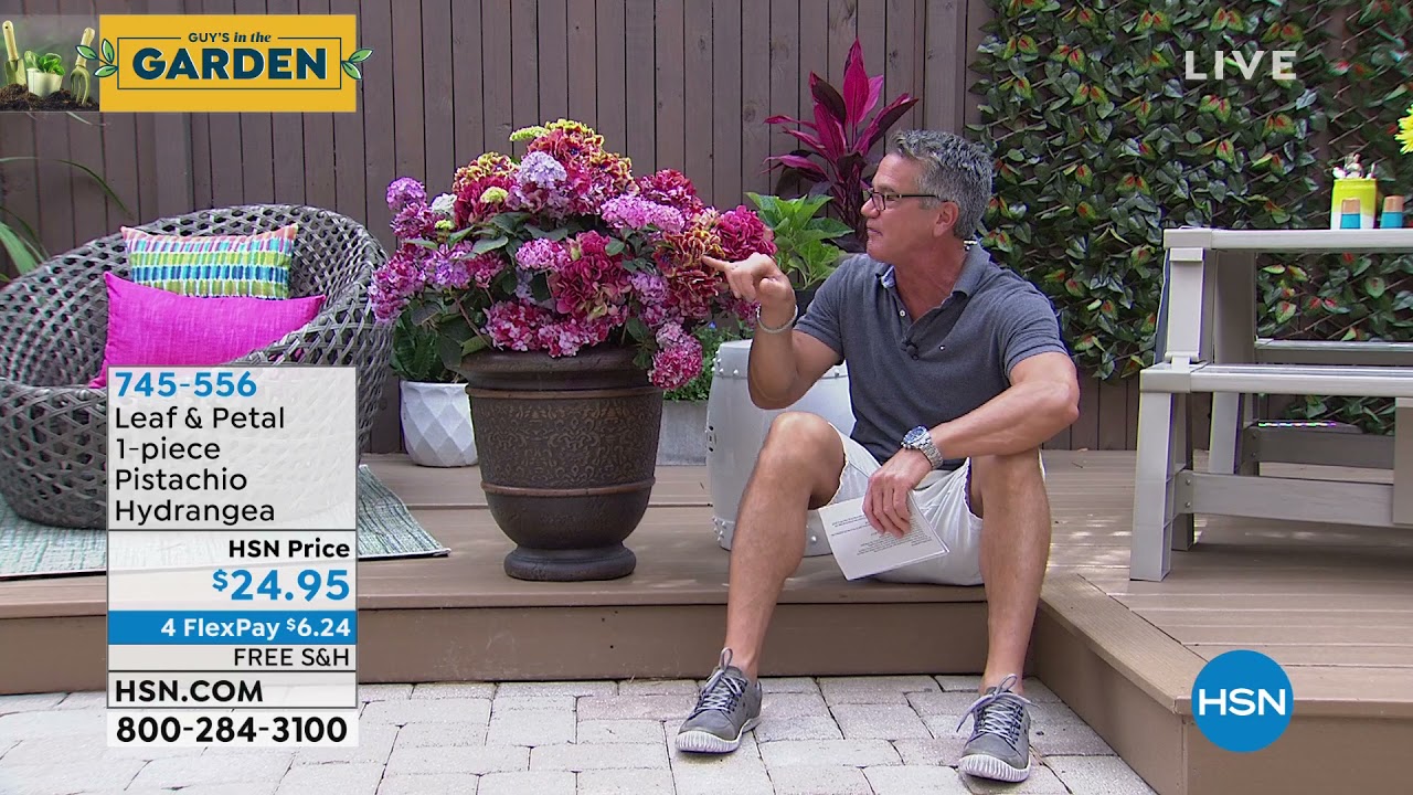 Hsn fleurs de jardin