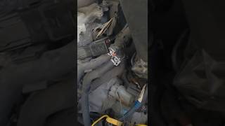 Rodent Chews car wires I think lol Full video On my Channl #transmissionshop #smallbusiness #diy Rodent Chews car wires I think lol Full video On my Channl #transmissionshop #smallbusiness #diy