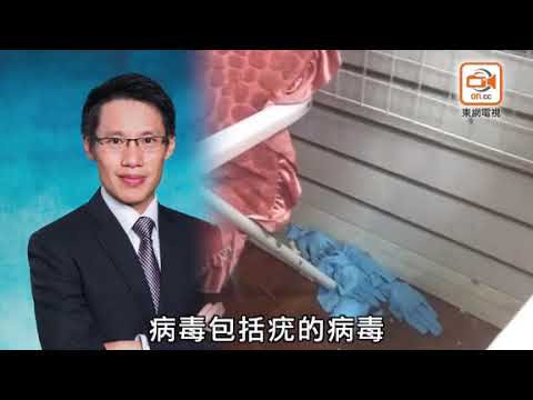 探射燈：10蚊修眉檔攻港　衞生一團糟隨時染愛滋