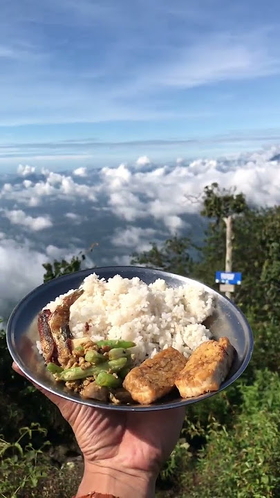 sederhana aja yaa asal nikmat #forest #gunung #pendaki #fyp #airpegunungan #masakdigunung #minivlog