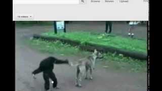 How To Get Dawnguard For Free