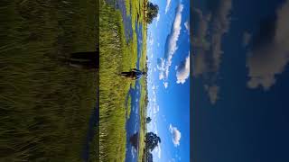 THE REAL POWER OF RTX 5090 RDR2 #shortsfeed #rdr2