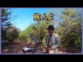 旅人よ 2020.1.4 テナーサックスで懐かしのメロディー #テナーサックス #加山雄三