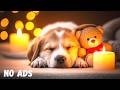 🐶💤 Instantly Calm Your Dog! Deep Sleep Music for Anxiety & Peaceful Nights 🎵