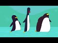 Penguin polka  kids songs  come sing with us