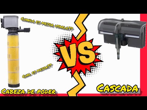 Power Head vs Cascade Filter |Power Head vs Cascade|