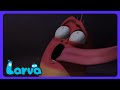Larva - Magiczny wazon śpiewa! | Bajki dla dzieci | WildBrain Wieża Bohaterów