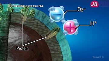 Cơ chế ức chế các ion Plasmacluster chống lại virus và nấm mốc trong không khí