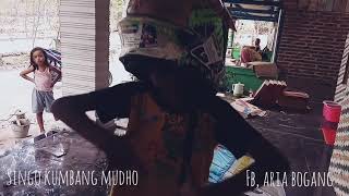 Story wa anak kecil joget jaranan