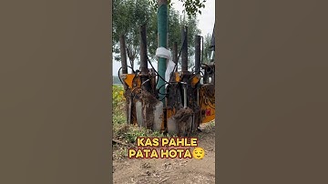 please save trees|#shorts #tree #premadeewanaofficial