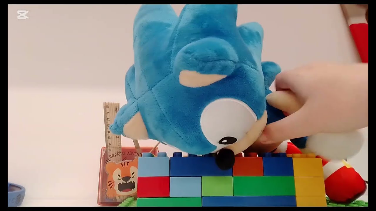 LEGO 6 - SONIC: SUPER RICCIO