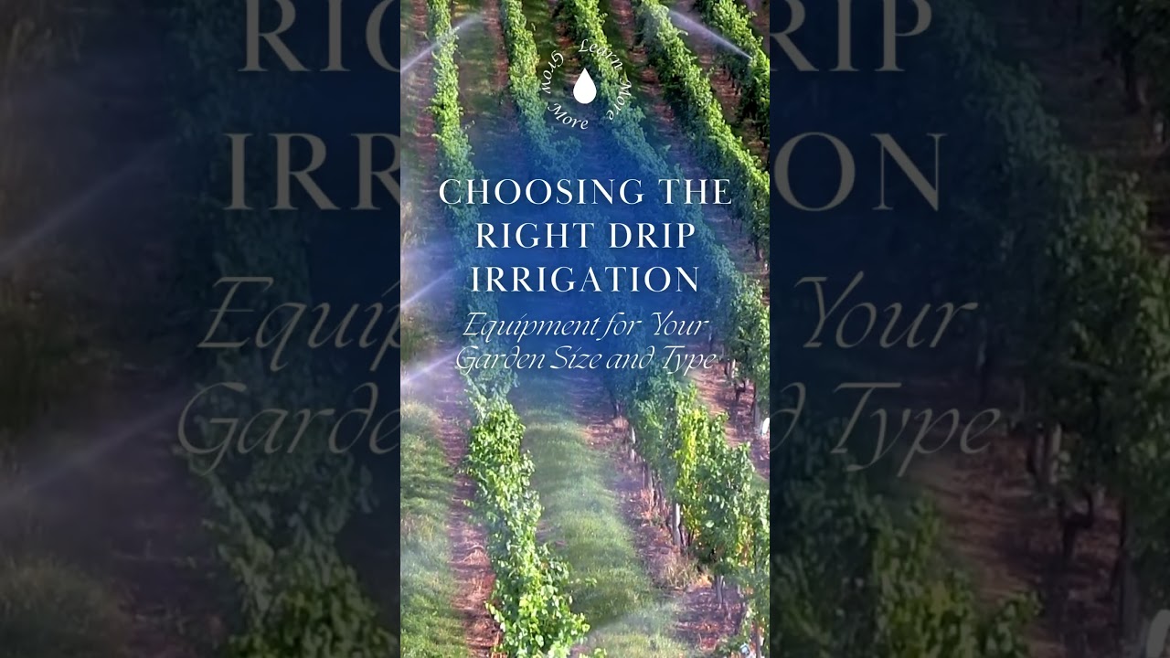 Maximize Your Garden's Potential with Drip Irrigation: Water-Efficient and Customizable 🌱💧