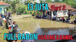  MAKIN SIANG GURAME BABON DAN BAWAL BABON NAIK‼️13 JUTA 12 PESERTA