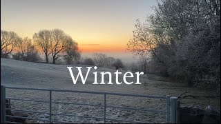 WINTER ON THE FARM by Dale Farm 7,239 views 5 months ago 9 minutes, 30 seconds