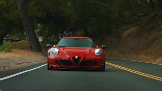 2021 Alfa Romeo 4c Carbon Scoops