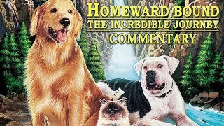 Homeward bound the incredible journey Hollywood movie hindi fact and story |movies review |explained