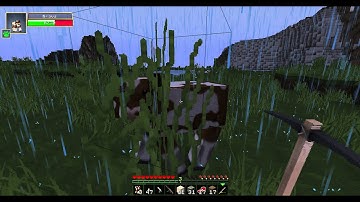 Minecraft damage indicator mod