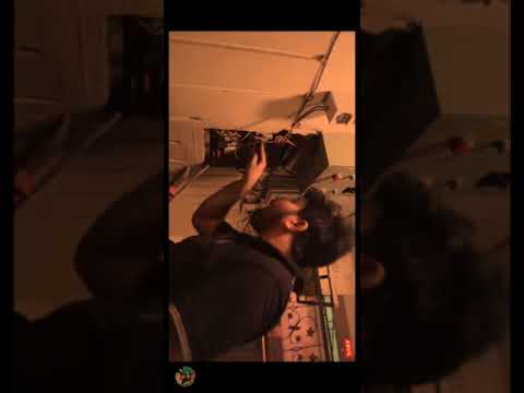 deblewtee sheikh chilli funny