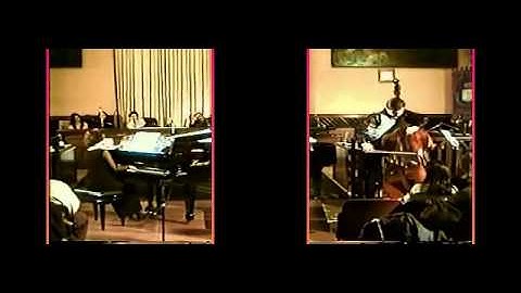 VITO LIUZZI plays "Koussevitzky" Concerto for doublebass and piano (3D)