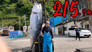 【衝撃】はじめてクロマグロを釣ったら化け物だった...（2023/4/18・森竜丸）