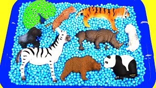 Wild Zoo Animals Toys For Kids Learn Where Animals Live - Giraffe Rhino Gorilla Tiger