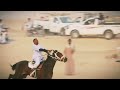 The Horse Tamra Bint Saqr Won Against The Horse Anibal On The Night Of Al Tunab 2025 