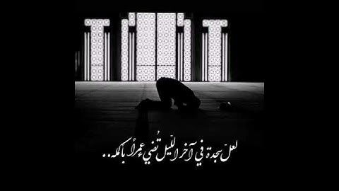 القارئ عبدالرحمن مسعد | تلاوة خاشعة