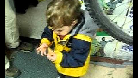 BBCVideo2012-03-01.avi