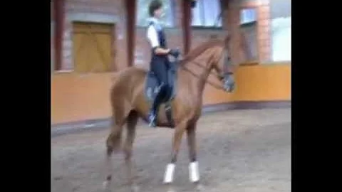 Birgit Beck-Broichsitte...  und Evita im Training ...