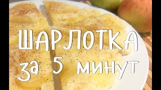 СУПЕР быстрая ШАРЛОТКА с яблоками! 5 минут и ГОТОВО!