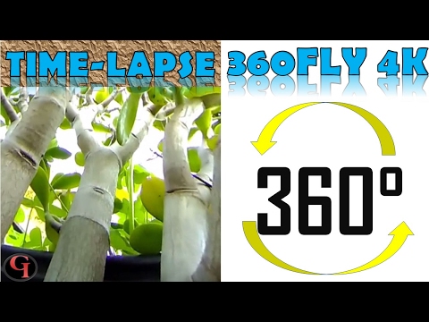 Jade Sundown Timelapse Breath