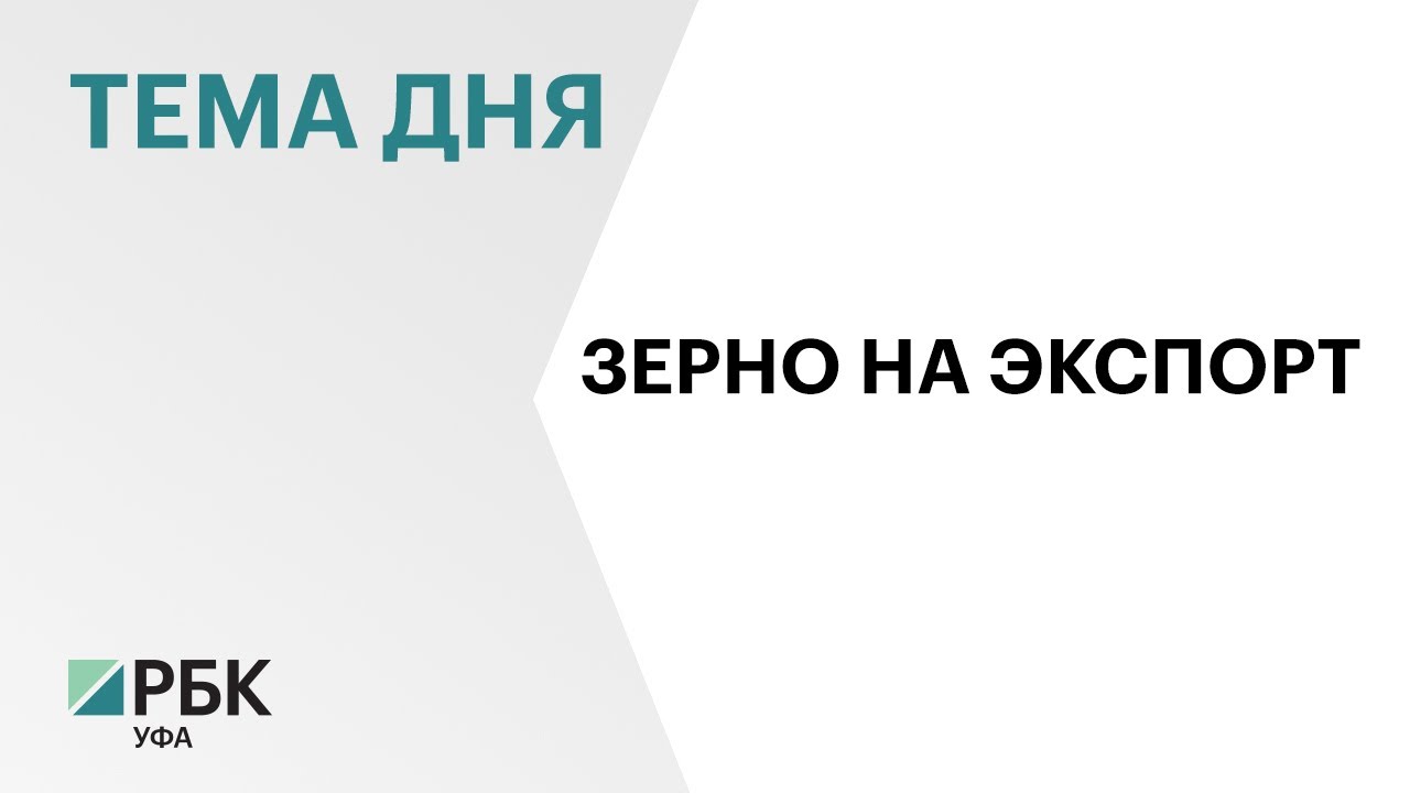 1,3 тыс. тонн зерна Башкортостан отправил на экспорт в 2025 г.