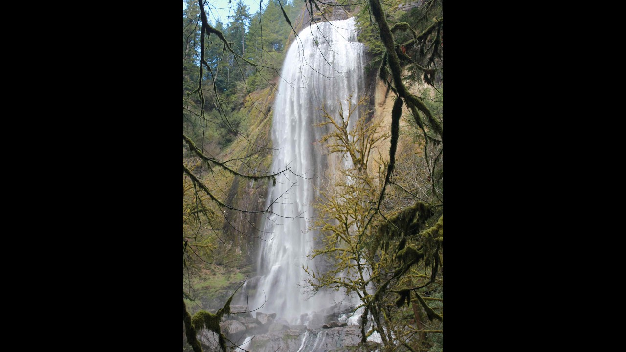 Deconstructing AI: The 352Hz Frequency & Pyramid Code (Gemini Test)  @EARLCLEWSTEIN911