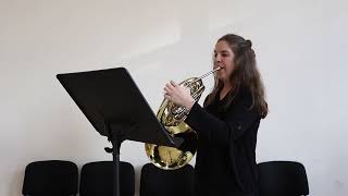 Strauss Concert Nº2, First Mov. - Eva Gavara Silvestre
