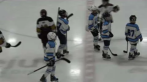 Bengal Elite Vs  Moose