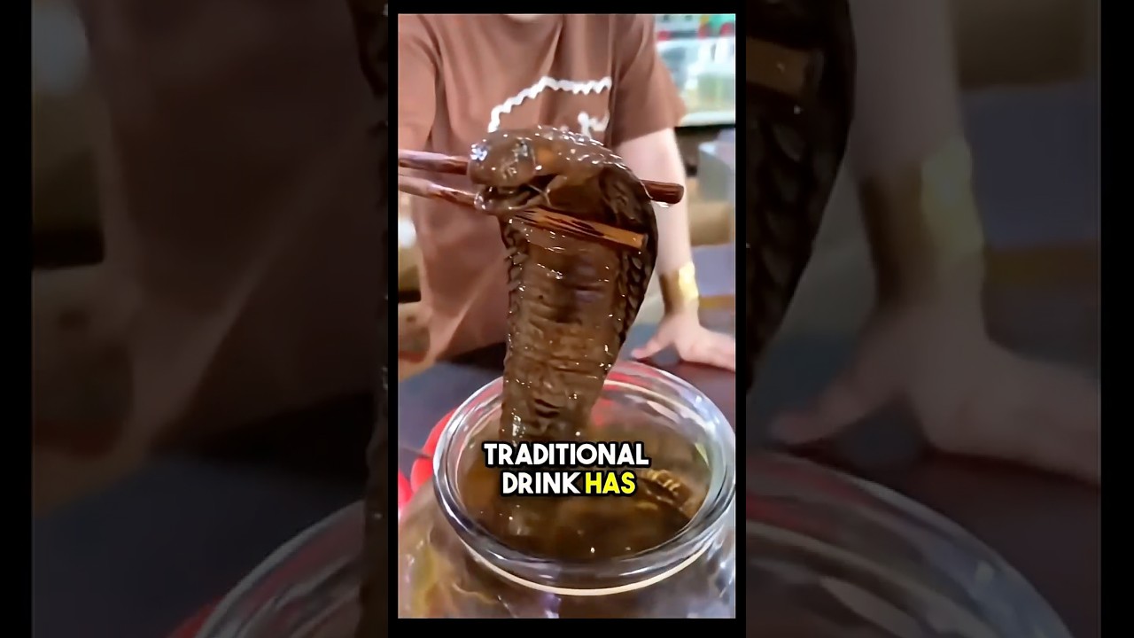 China’s Ancient Tradition of Snake Wine 🍷 
