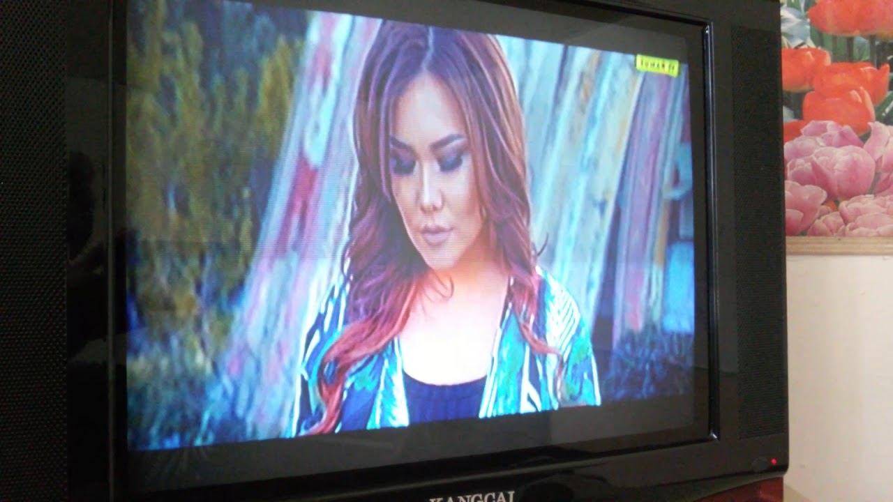 DVB-T2 Стандарт Санарип TV HD