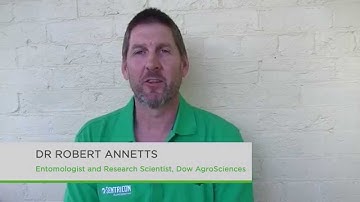 Introducing Sentricon AlwaysActive