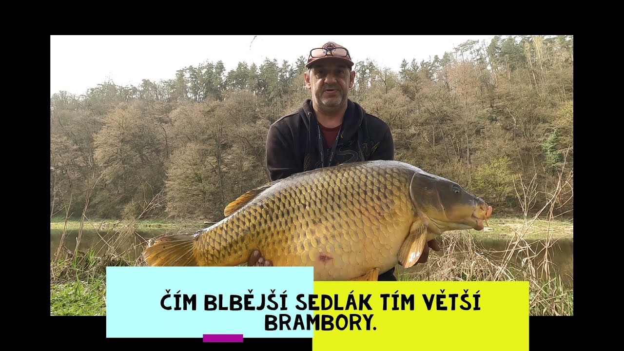 Kapři z Berounky...Velikonoční beránek.