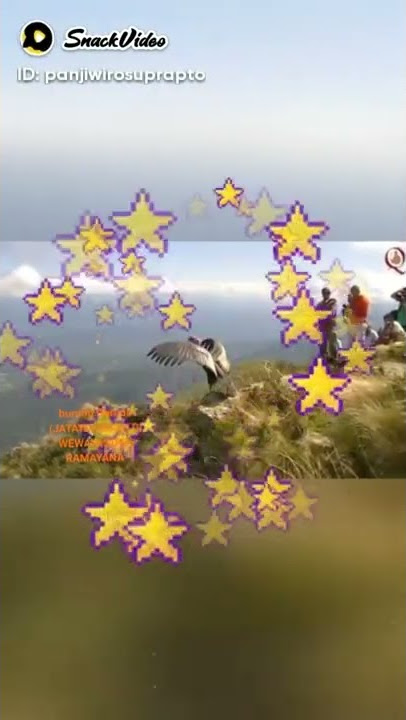viral burung Garuda (Jatayu)