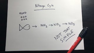 What’s worse - nitrate build up or carbonate depletion in a pond?