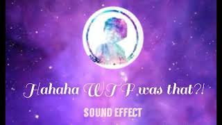 HAHAHA WTF was that? sound effects | NO COPYRIGHT | FREE TO DOWNLOAD | ZacharyDwayne channel