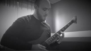 Elitist - Domino Theory (guitar cover)