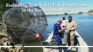 Evaluating Non-Native Fish Populations in the San Joaquin River