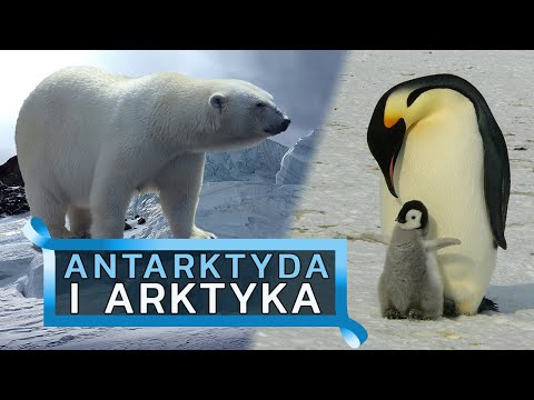 Wideo: Od Paryża Po Arktykę